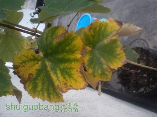 2011-09-14_18-02-23_437.jpg
