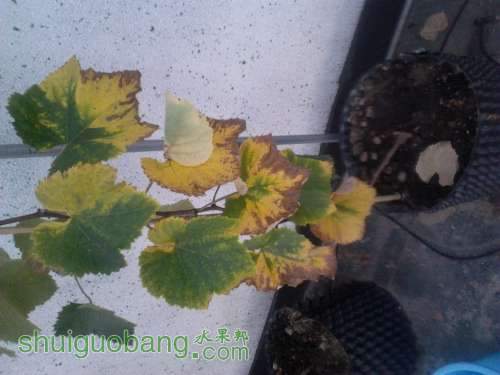 2011-09-14_18-02-35_124.jpg