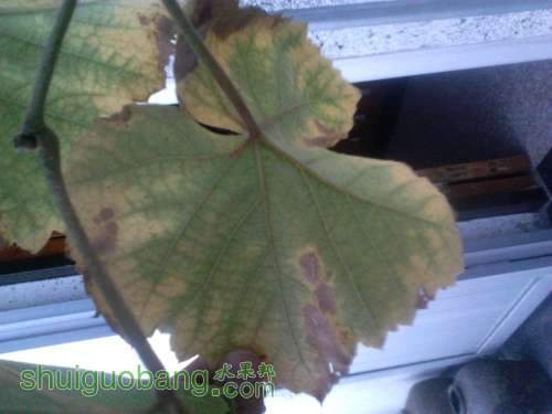 2011-09-14_18-02-56_633.jpg