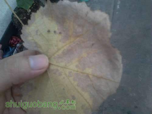 2011-09-14_18-03-14_921.jpg