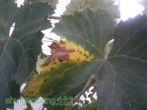2011-09-14_18-03-30_230.jpg
