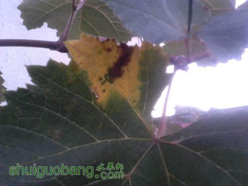 2011-09-14_18-03-35_710.jpg