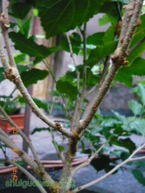 P1180777.JPG