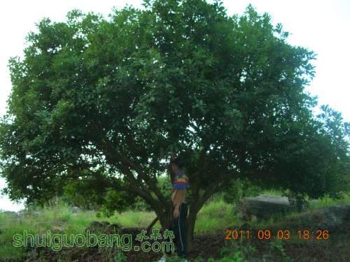 DSCN6719.JPG