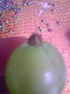 IMG0329A.jpg