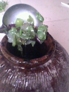 IMG0335A.jpg