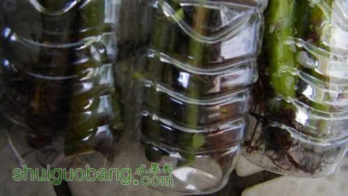 nEO_IMG_100_1023.jpg