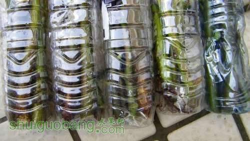 nEO_IMG_100_1022.jpg
