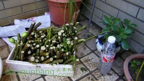 nEO_IMG_100_1026.jpg