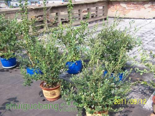 100_3440.JPG