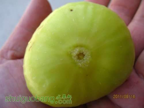 2011-8-14 018.jpg