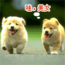 _18168172551462444089[1].gif