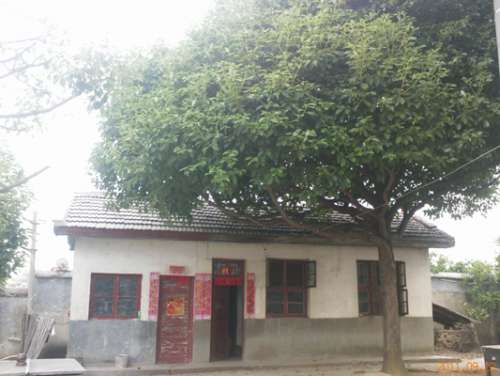 YP0316.jpg