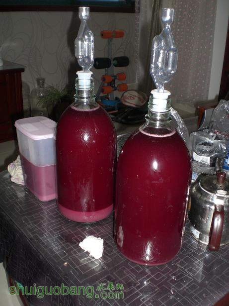 CIMG0052.JPG