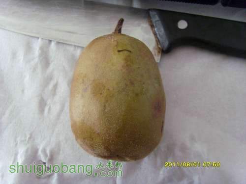 С SI855932.JPG
