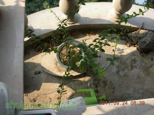 DSCN3816.JPG