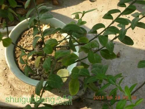 DSCN3817.JPG