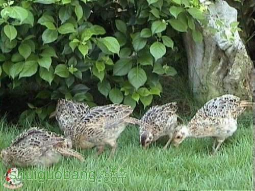 0rC8pjE=_9kdeQ19lOP2h.jpg