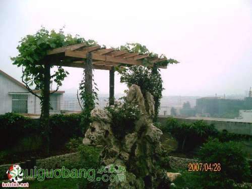 20070428_409d6c0f35eb37f3b841x5xaRc6w0mJC.jpg