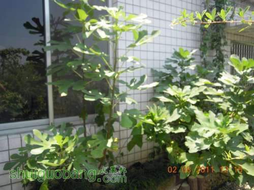 DSCN2770.jpg