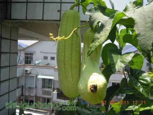 DSCN2793.jpg