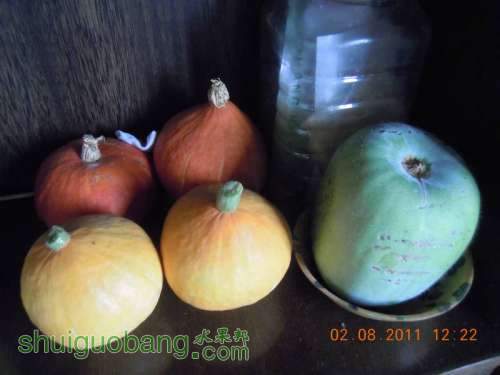 DSCN2794.jpg
