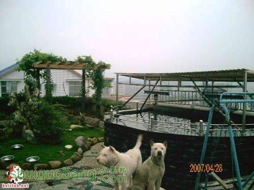 20070428_88a552dad03f2d4fc5c8cipCozROwHTI.jpg