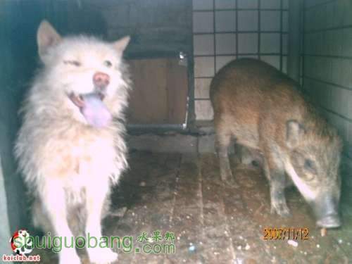 20071118_1b620aaf77dc86779e94fjbskSgEUIlc.jpg