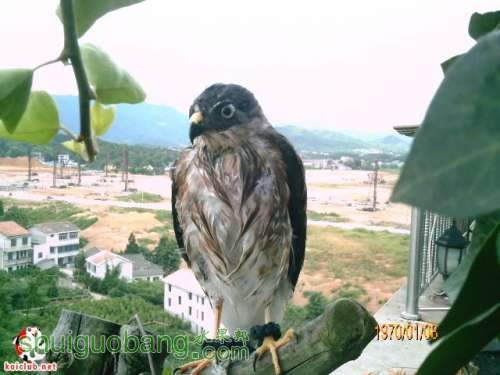 20080723_1fddd0fd38cb5780f102C8dvIeREt0gN.jpg