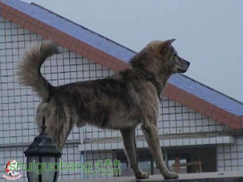 20041221174451974_f7qVpoJfF29O.jpg