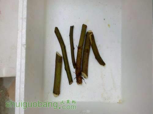 2011-09-25_16-03-00_826.jpg