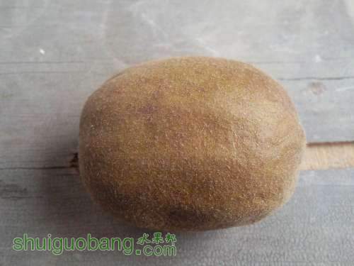 С Ƭ0410.jpg