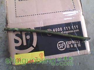 20110926A424.jpg