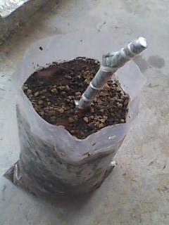 20110926A427.jpg