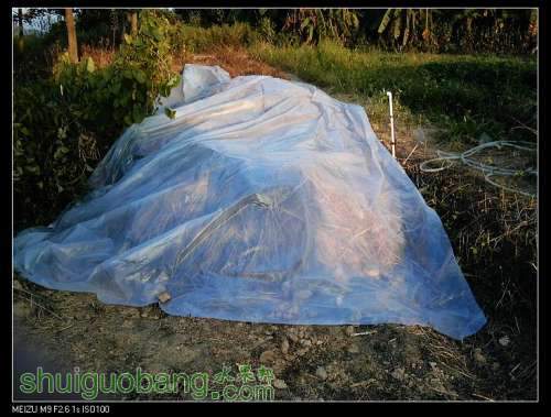 nEO_IMG_IMG_20110927_174224.jpg