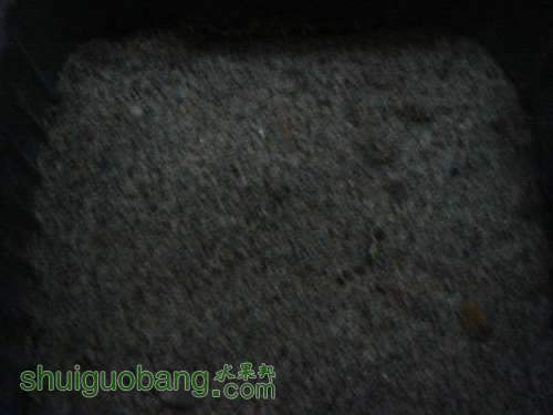 Resize of DSC01746.JPG
