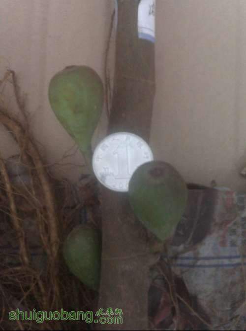 �޻���4.jpg