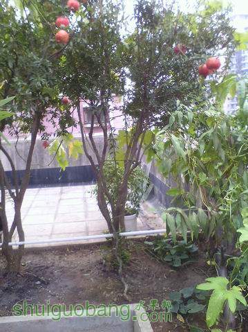 С IMG0927152600.jpg