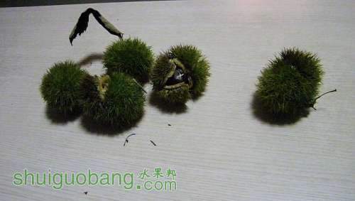 nEO_IMG_100_1280.jpg