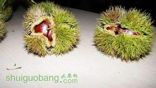 nEO_IMG_100_1288.jpg