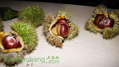 nEO_IMG_100_1309.jpg
