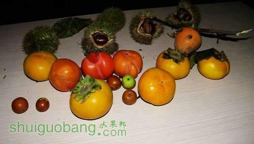 nEO_IMG_100_1321.jpg