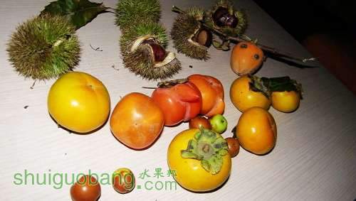 nEO_IMG_100_1322.jpg