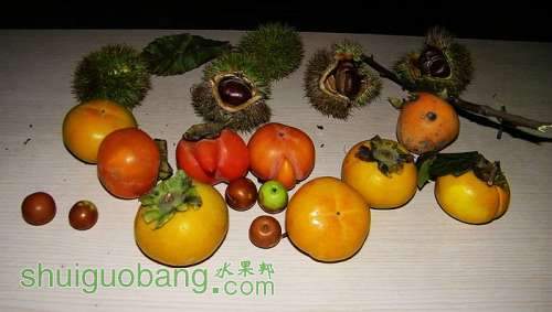 nEO_IMG_100_1329.jpg