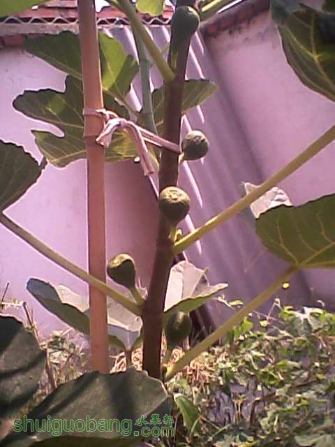 2011.9.24Ƥ3.jpg