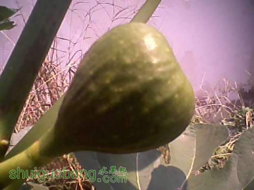 2011.9.24Ƥ4.jpg