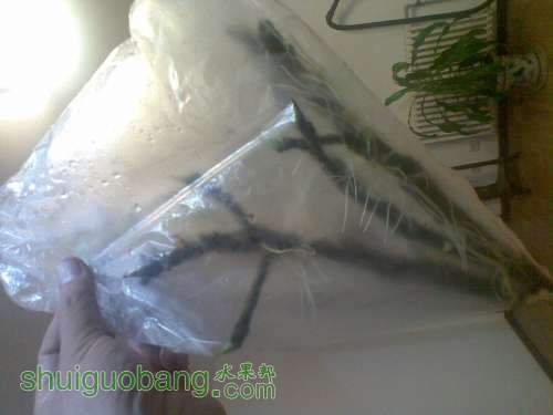 20110929.jpg