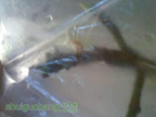 20110929_001.jpg