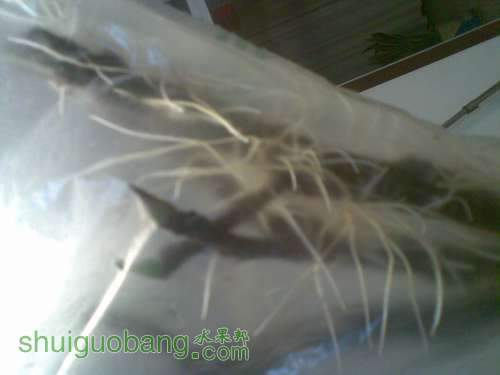 20110929_003.jpg