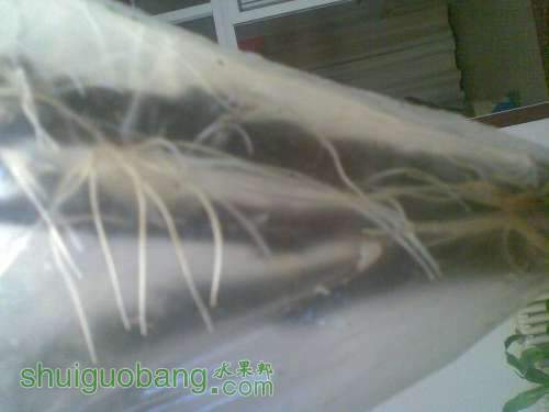 20110929_004.jpg